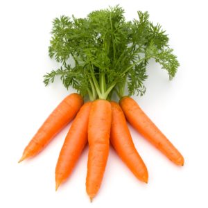 Carrot vegetable with leaves isolated on white background cutout